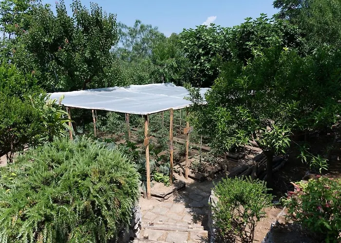 Villa Casa Angelica *